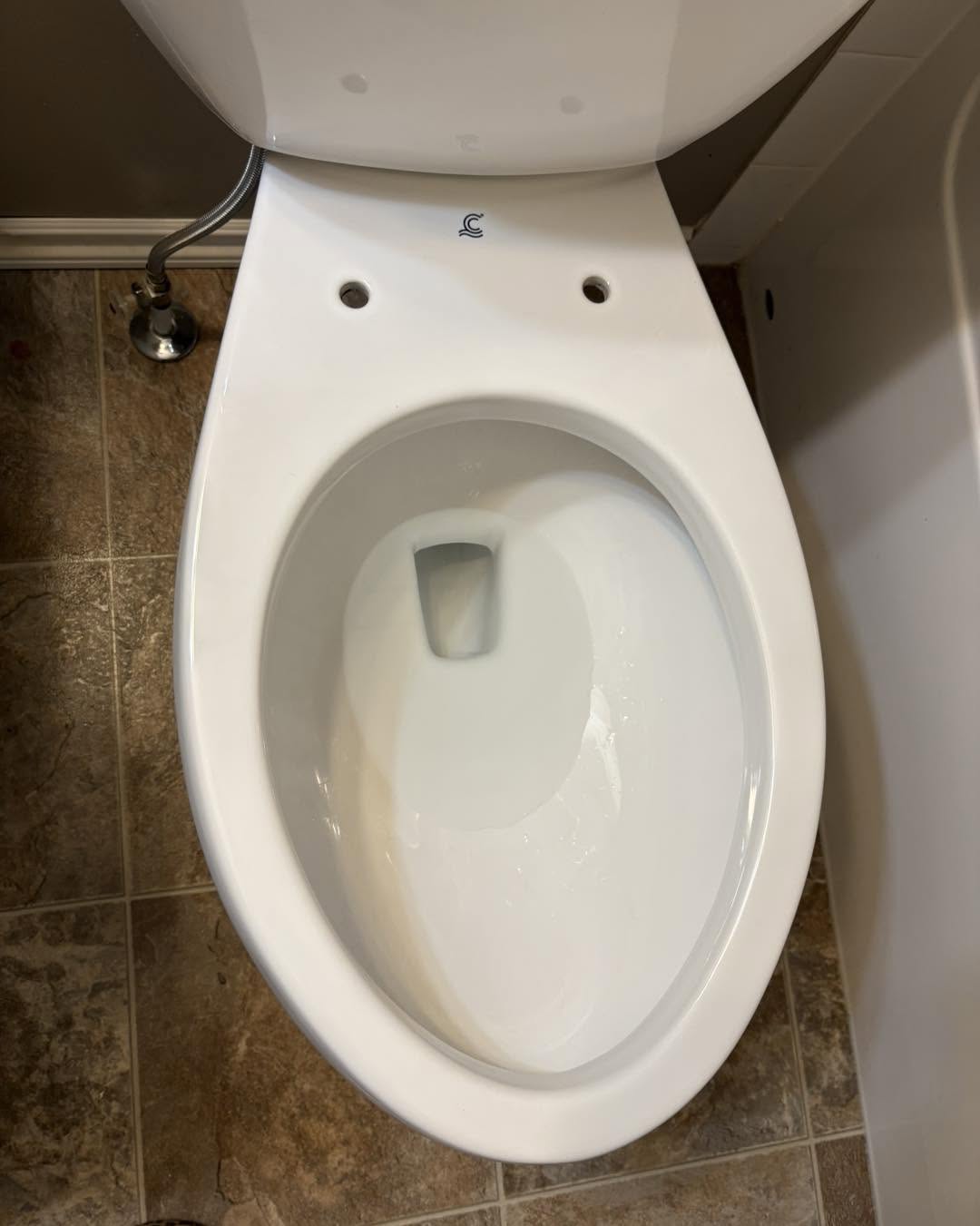 Toilet sanitized and sparkling after clean
