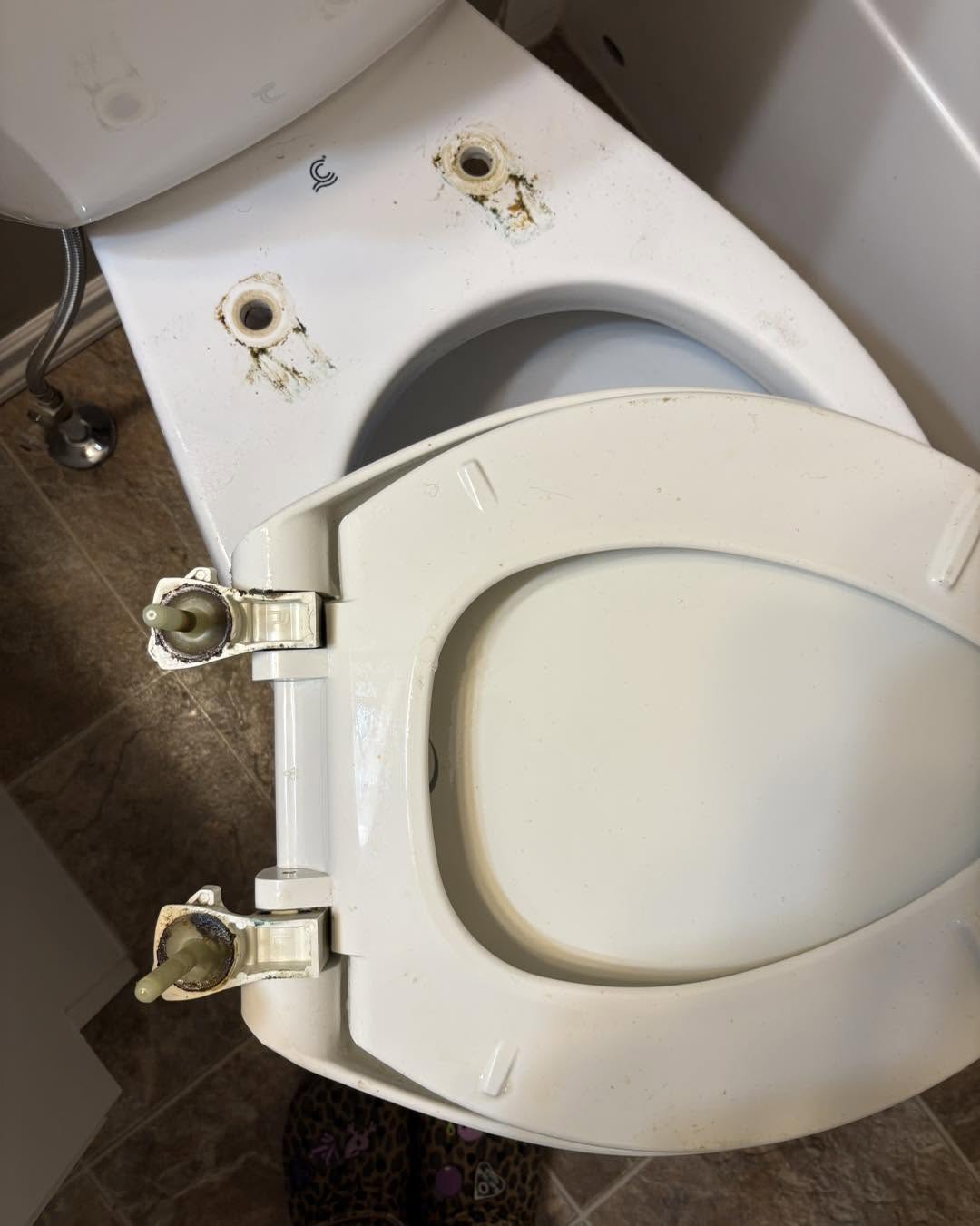 Toilet mineral build-up before clean
